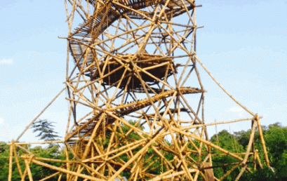 Growing Bamboo Tower – Neema Biju Jose